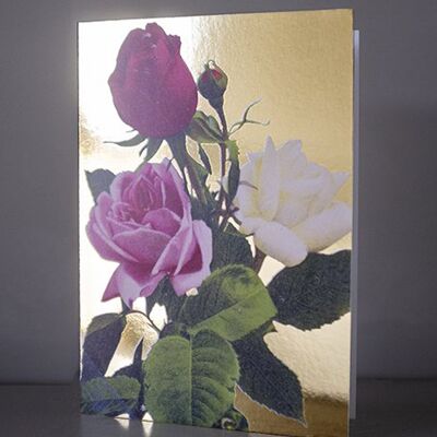 Dandy star vintage roses greeting card