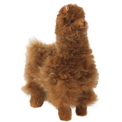 Pepe alpaca teddy bear (brown)