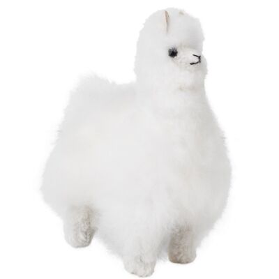 Osito de peluche pilar alpaca (blanco)