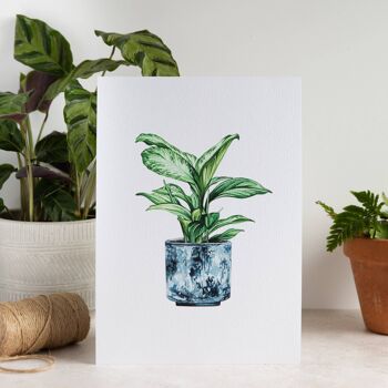 Aquarelle Silver Bay House Plant A4 Wall Art Print 4