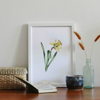Daffodil A4 Art Print