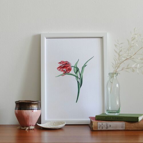 Tulip A4 Art Print