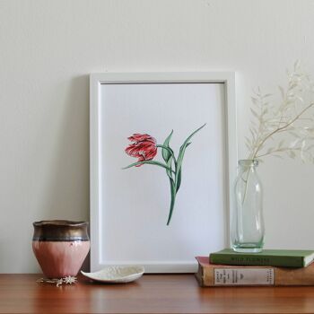 Tulipe A4 Impression artistique 1