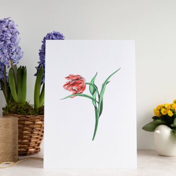Tulipe A4 Impression artistique 2