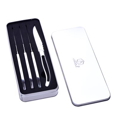 Box of 4 metal table knives Design shape and cropped solid metal handle in stainless steel Comes in an assorted metal box