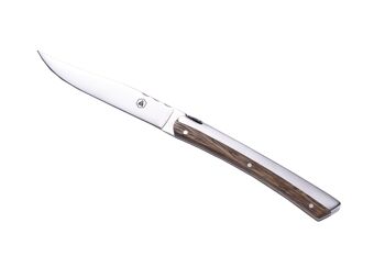 Coffret de 6 couteaux de table design 2