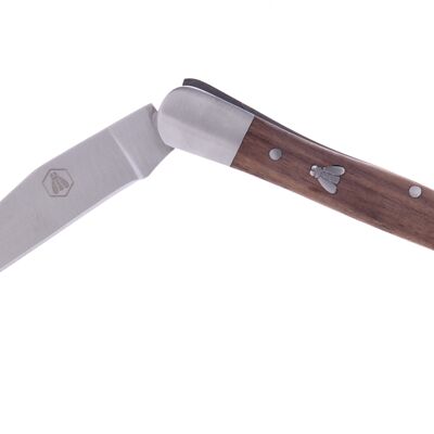 Walnut folding knife