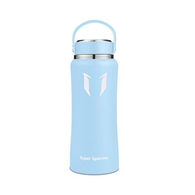 Insulated Stainless Steel Water Bottles, 750ML / 25OZ - Frost