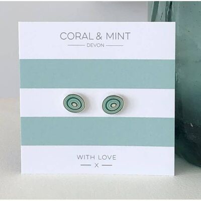Mint Swirl Enamel Earrings , sku116