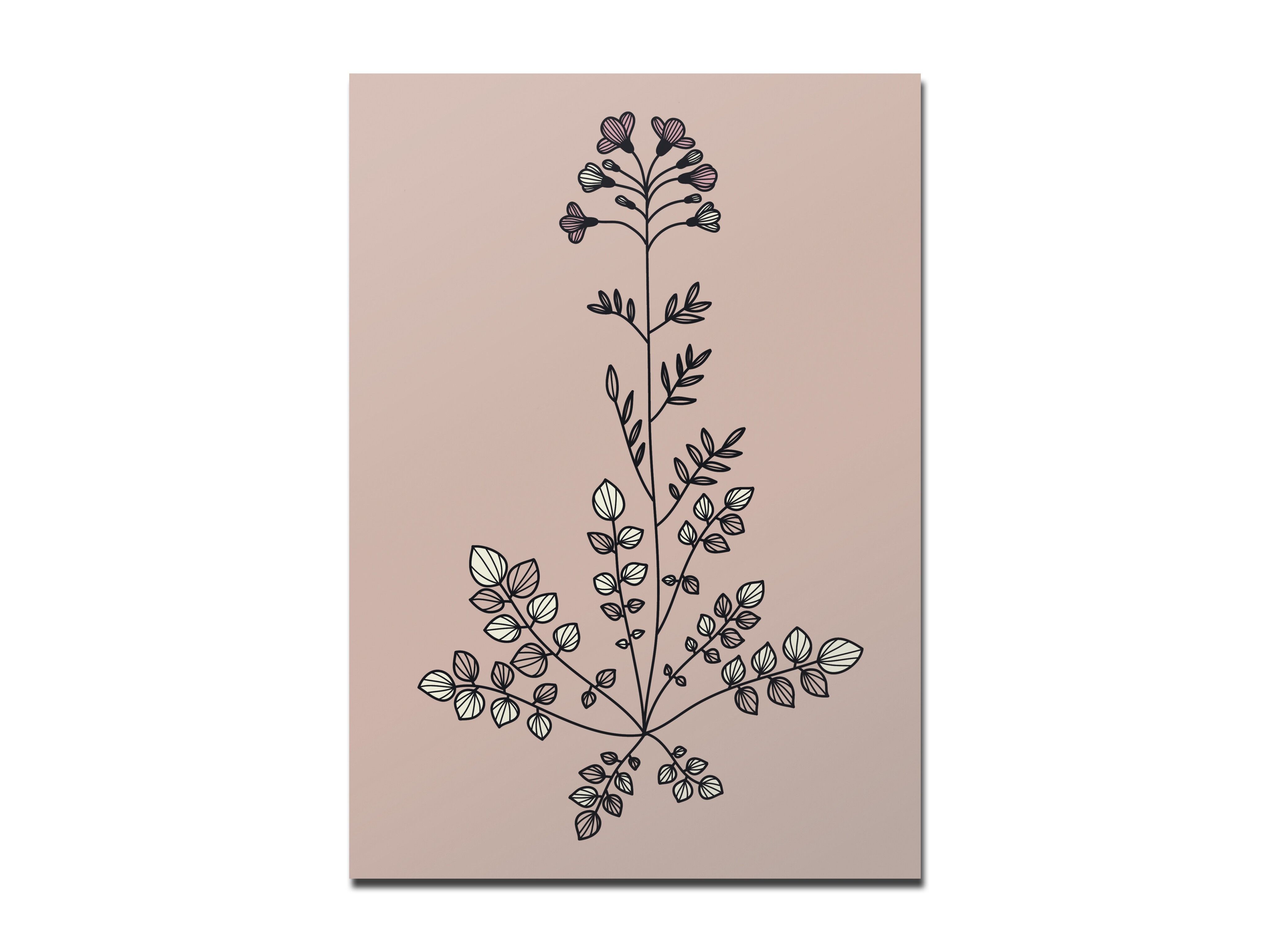 Cartolina pratofoam rosa scuro