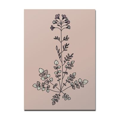 Postcard meadowfoam dusky pink