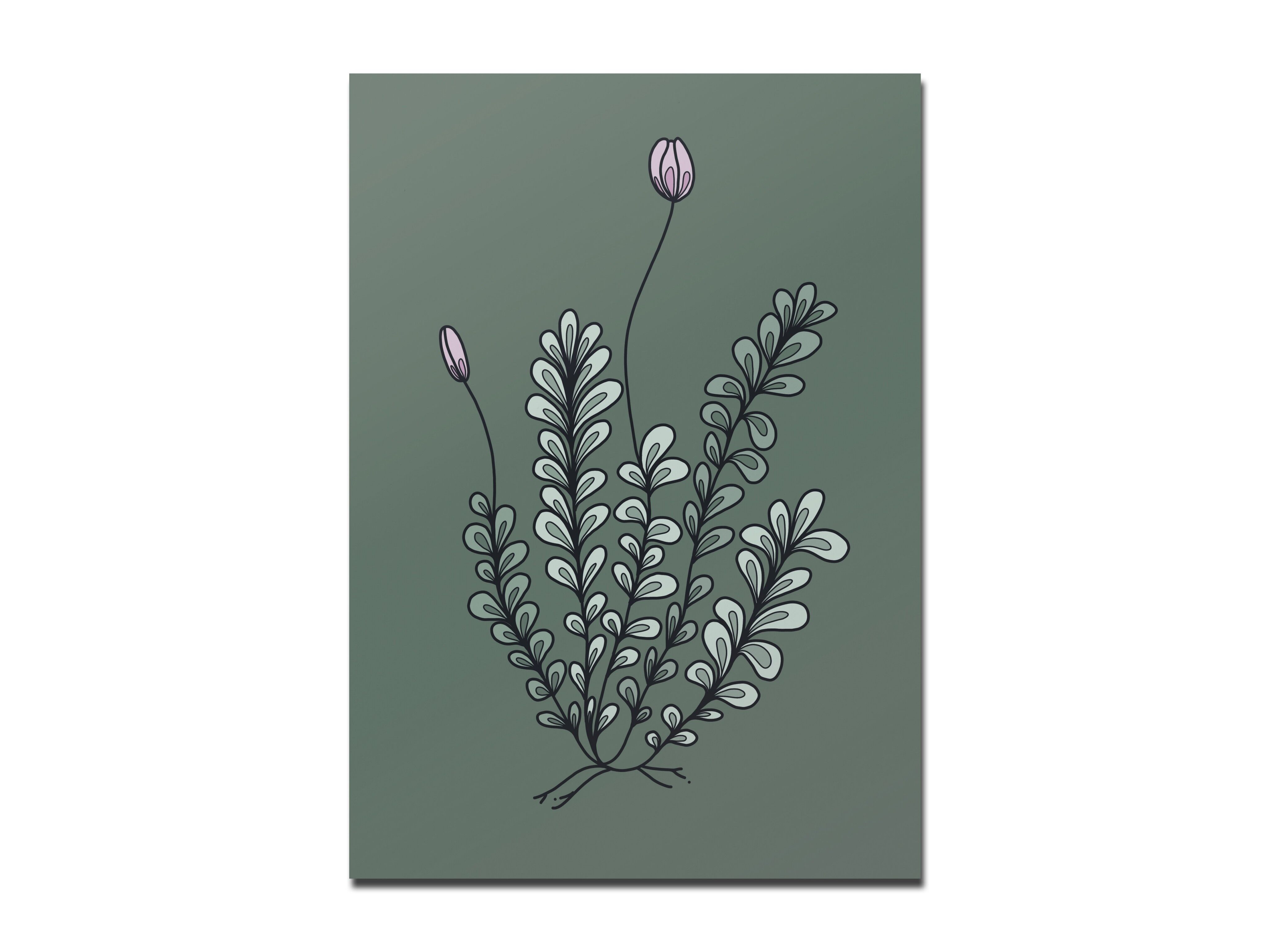 Cartolina Muschio in fiore, verde scuro