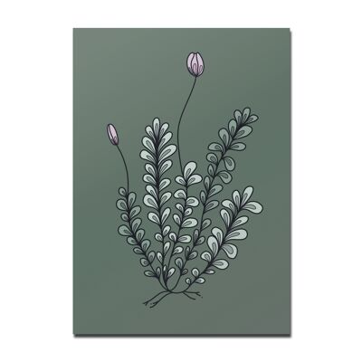 Cartolina Muschio in fiore, verde scuro