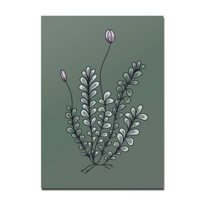 Postcard Blooming moss, dark green