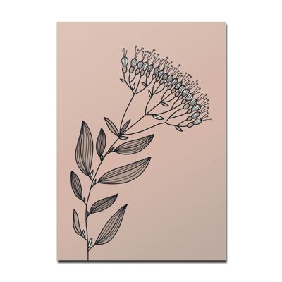 Postcard Botanical 04