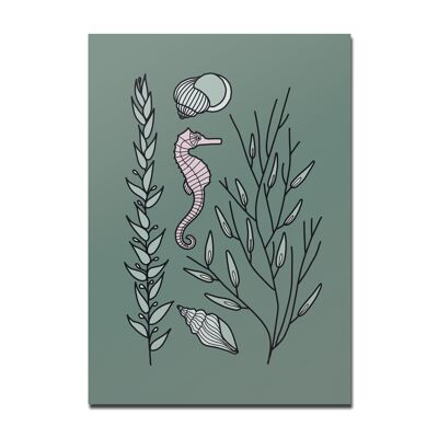 Postcard seahorse green