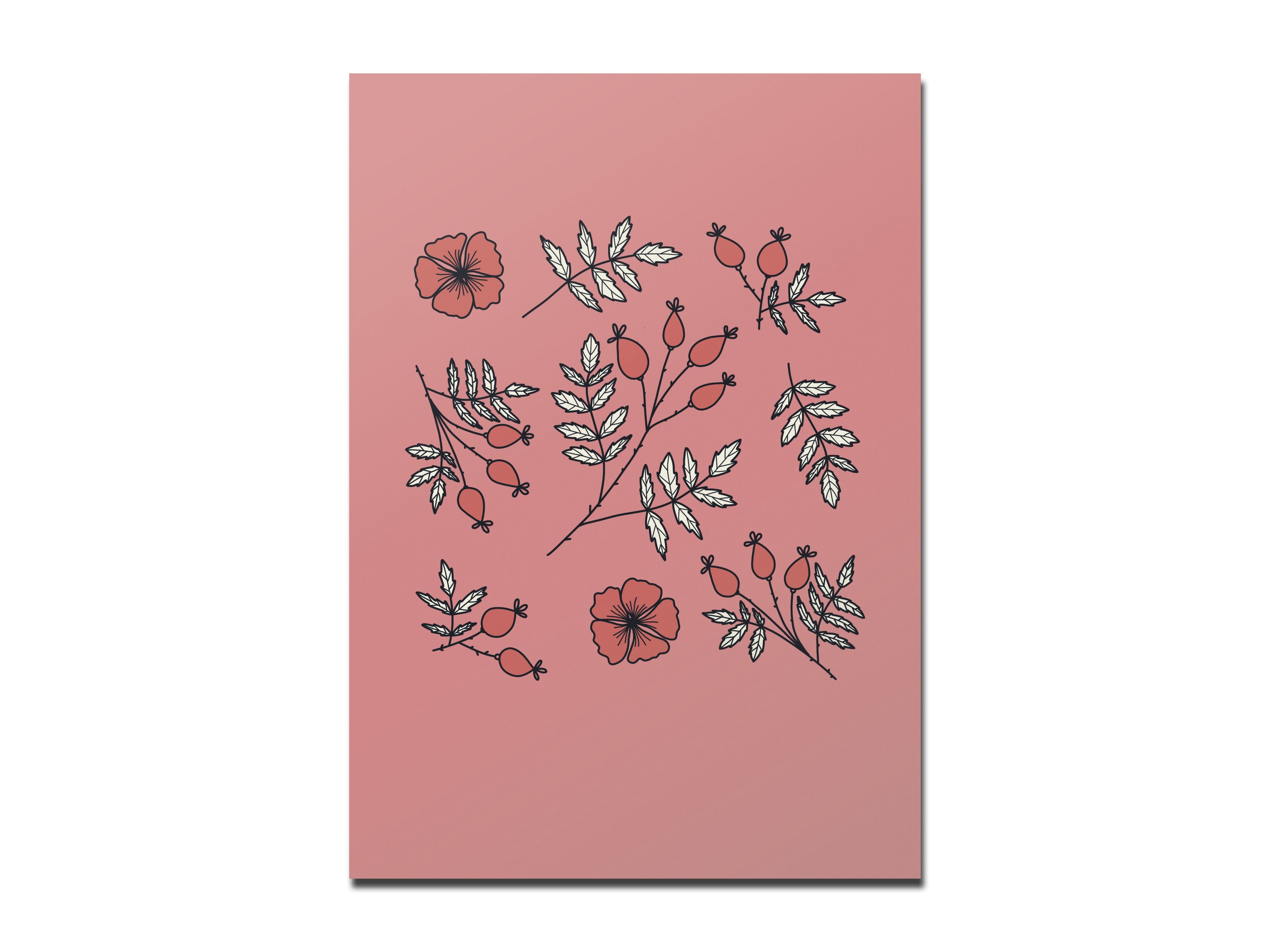 Cartolina rosa canina rossa