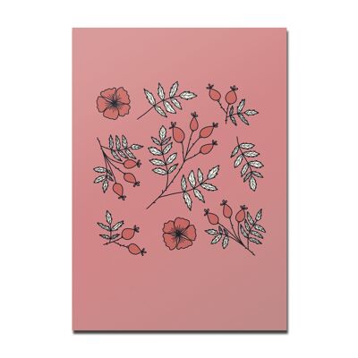 Cartolina rosa canina rossa