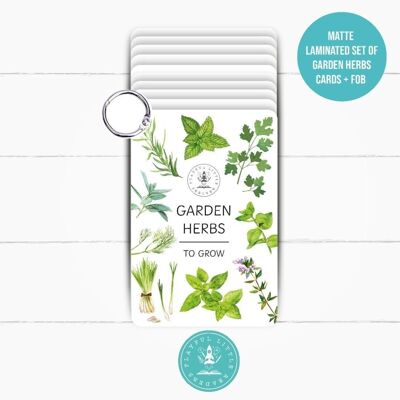 Garden Herbs Explorer