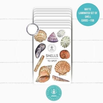 Shells Explorer