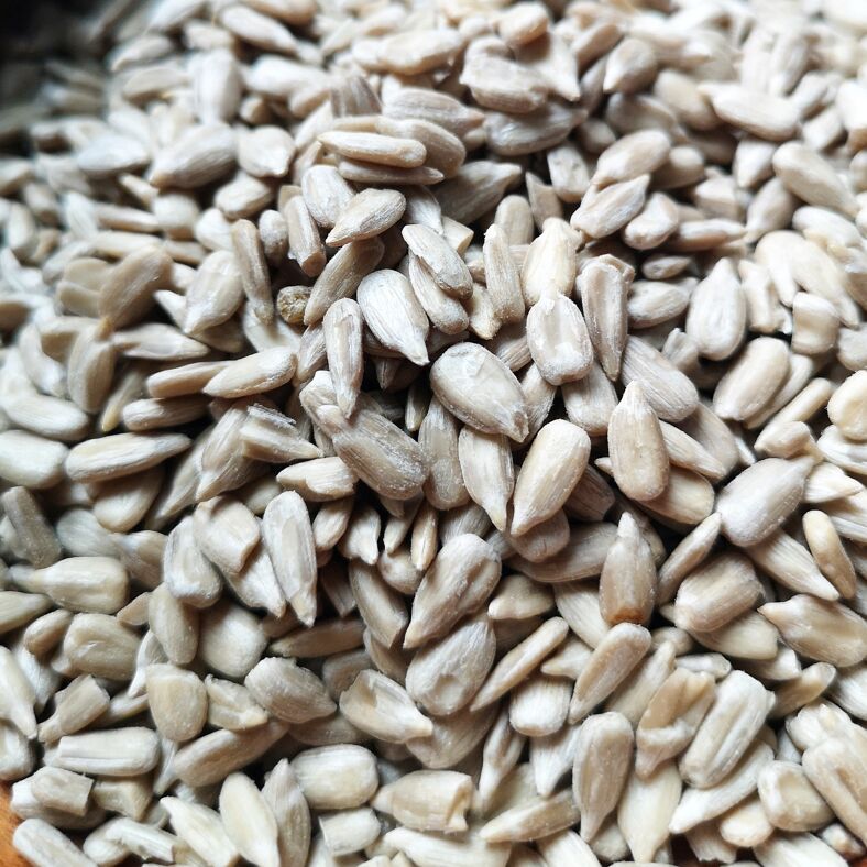Sac de graines de tournesol décortiquées pour oiseaux (5 kg