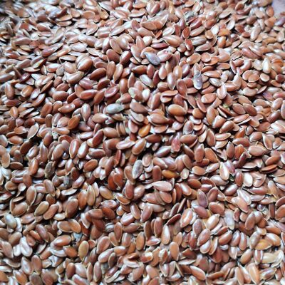 Brown flax seeds