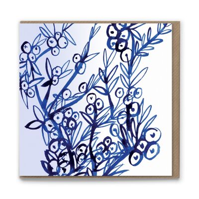 WDC111 Sketchbook Vine Blank Greetings Card x 6 Emballage de violoncelle biodégradable