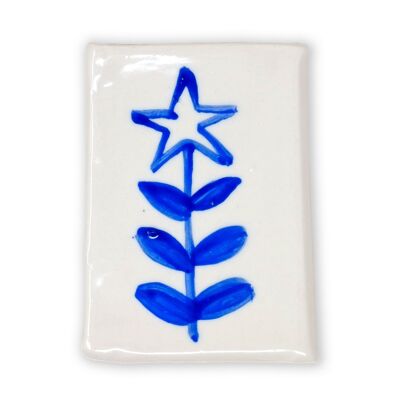 M104 Star Magnet  Gift Boxed