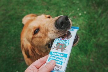 Tropical Dog Chews (pack de 10) 6