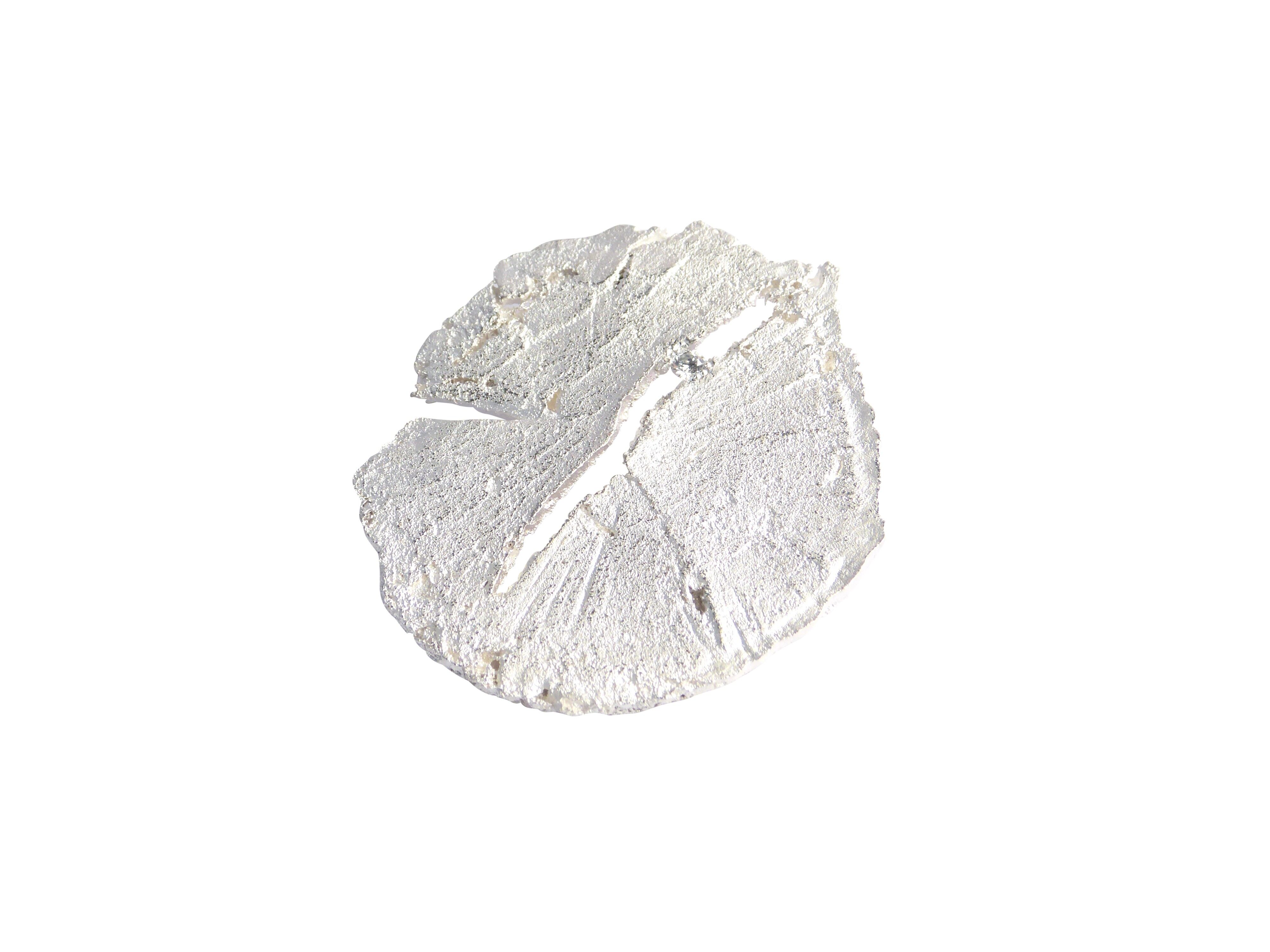 Lignum Astauge brillante