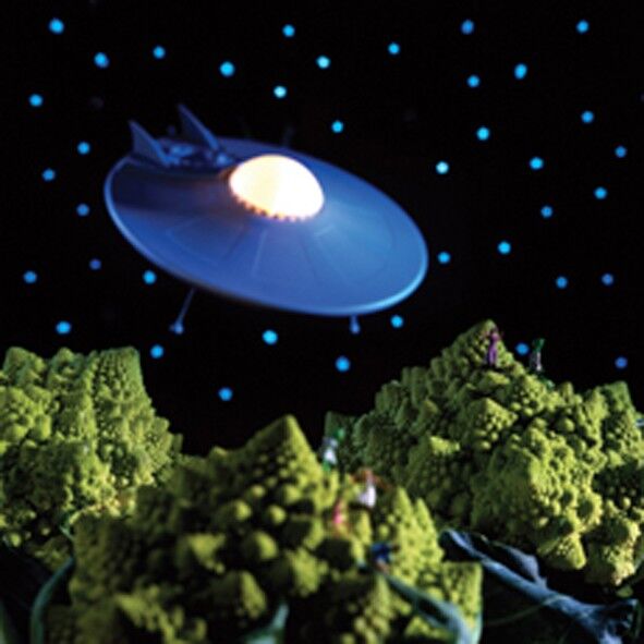 Biglietto vuoto Pianeta Romanesco