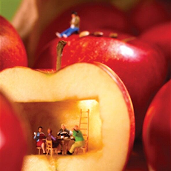 Carte vierge de la maison Apple