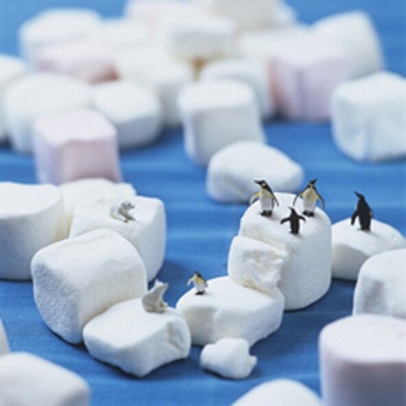 Carta bianca di Niceberg