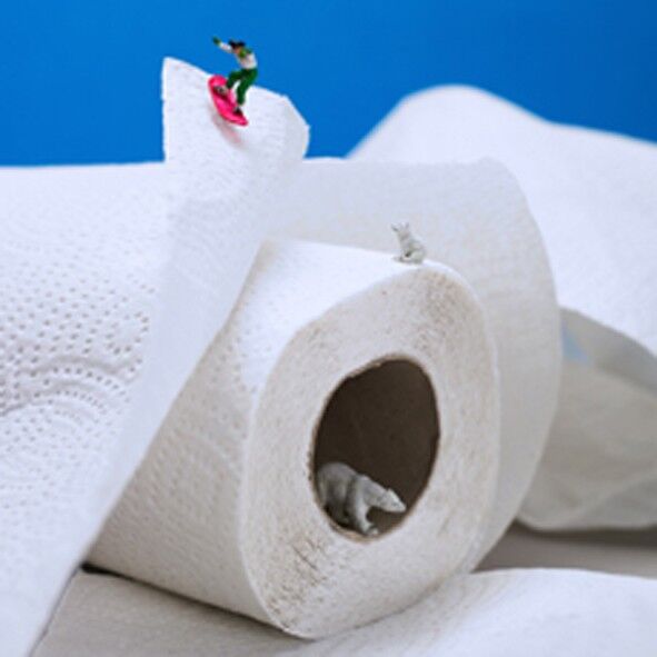 Su un rotolo di carta in bianco