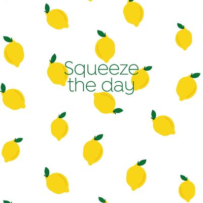 Squeeze the day Postcard