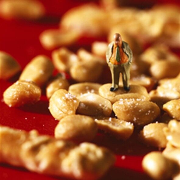 Scheda vuota di arachidi