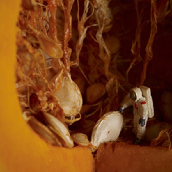 Houston, abbiamo un problema con la carta bianca