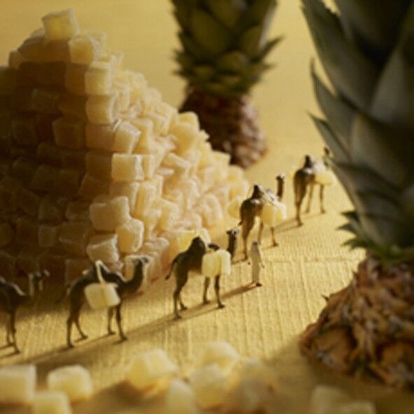 Biglietto vuoto con piramide di ananas