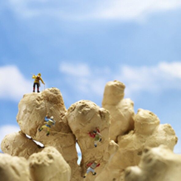 Prendendo con cautela la carta bianca