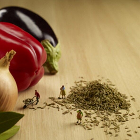 Biglietto vuoto per collezionisti di cumino