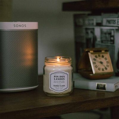 Pin des Landes scented candle