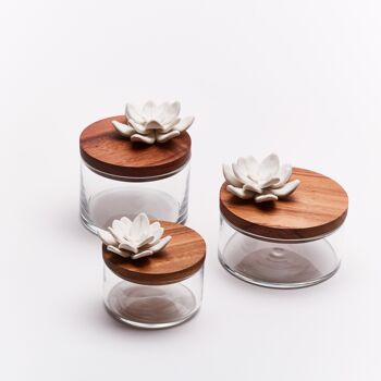 Boîte verre, bois, porcelaine- Lotus S 5