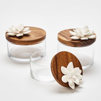 Boîte verre, bois, porcelaine- Lotus L 4