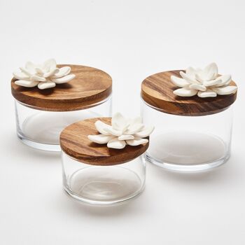 Boîte verre, bois, porcelaine- Lotus L 3