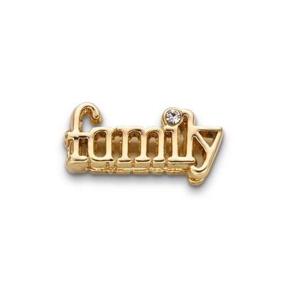 Mesh charm family gold