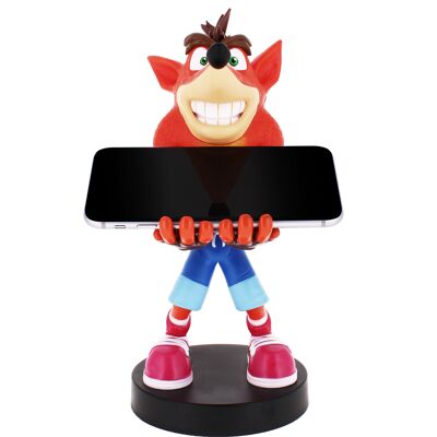 Crash Bandicoot Cableguy