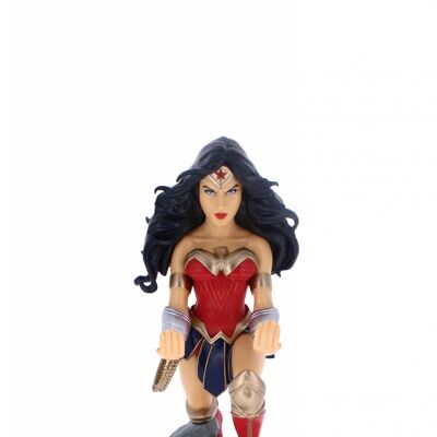 Wonder Woman Cableguy