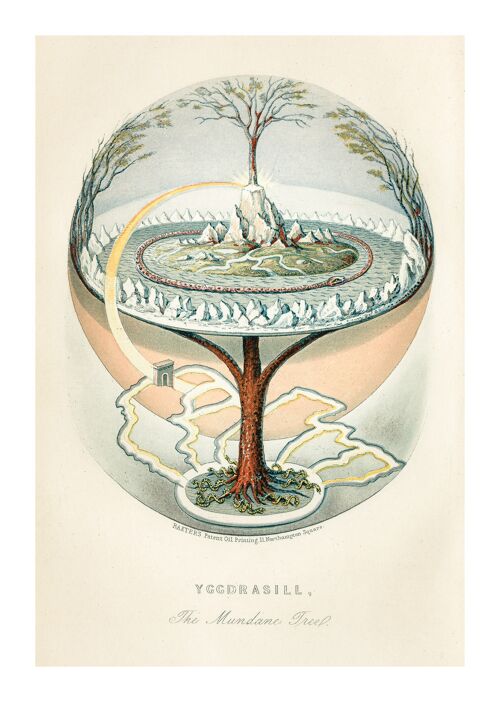 Poster 50x70 Yggdrasil