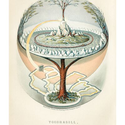 Poster 50x70 Yggdrasil