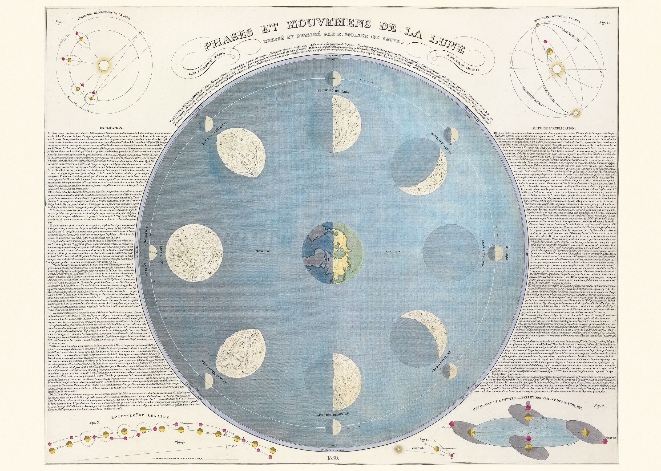 Poster 50x70 Phases of the Moon